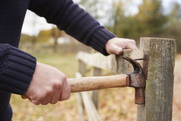 Fence Removal